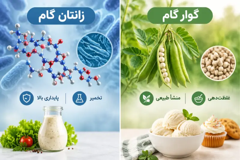 تفاوت زانتان گام و گوارگام